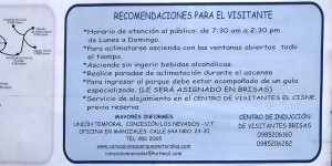 Recomendaciones